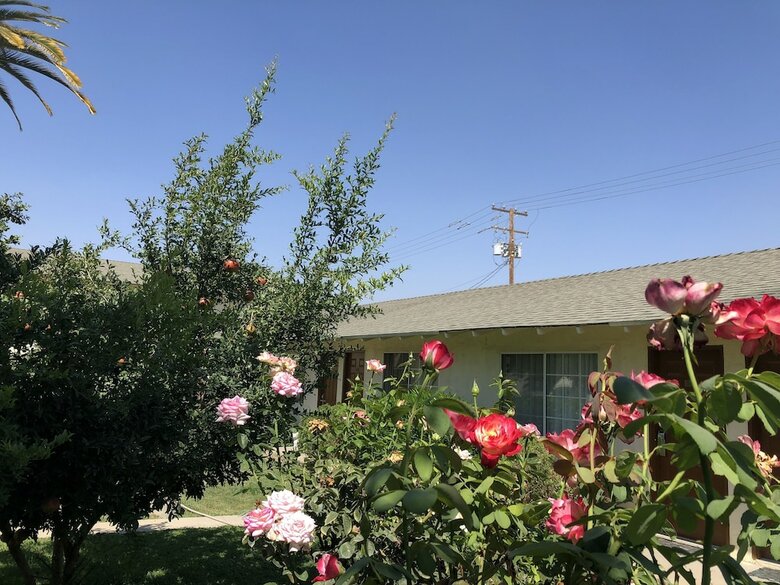 Motel 99 Palms Inn & Suites