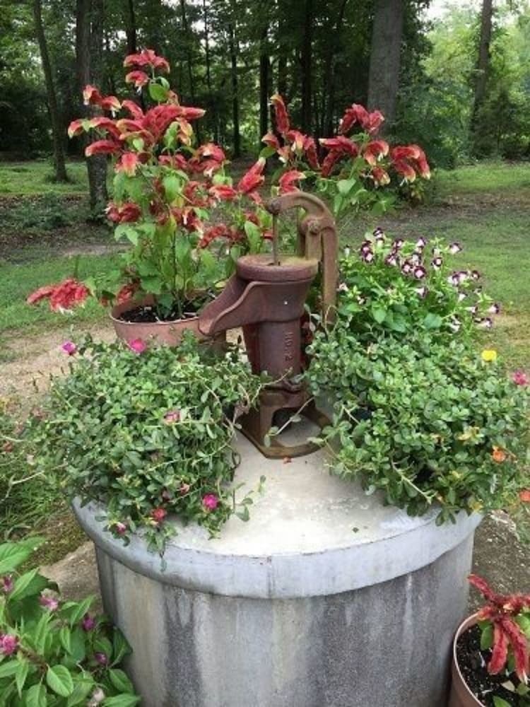 Shady Acres Bed And Breakfast