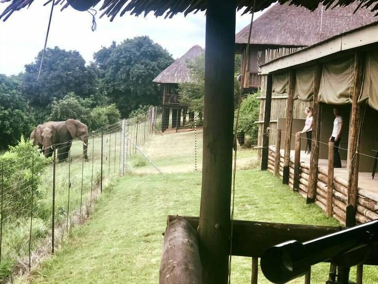 Crocodile Bridge Safari Lodge