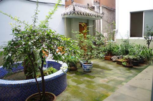 Albergue Teddy Bear Hotel