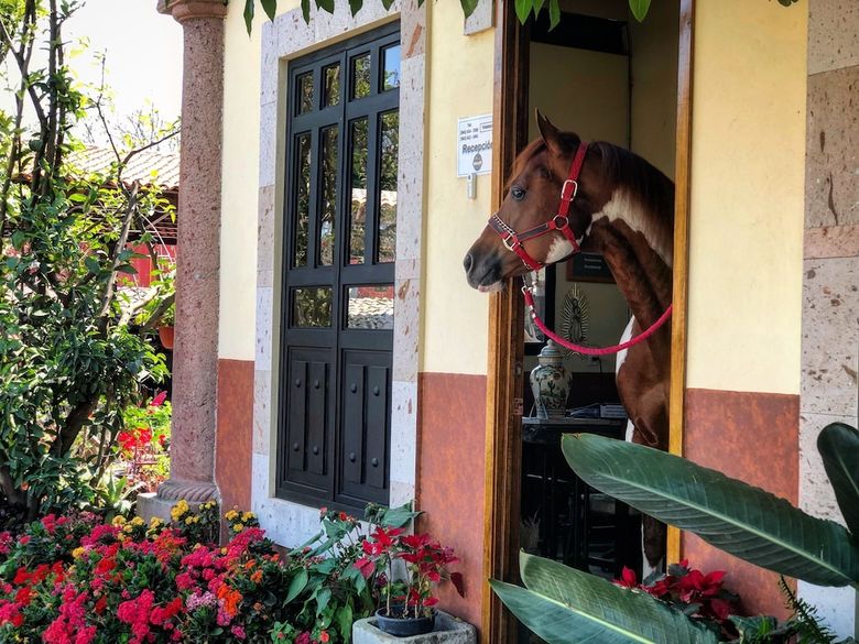 Agroturismo Chalet de Colombo Hotel