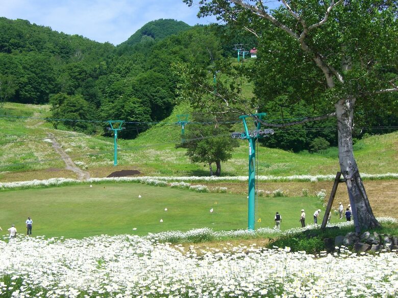 Okutone Onsen Hotel Sunbird