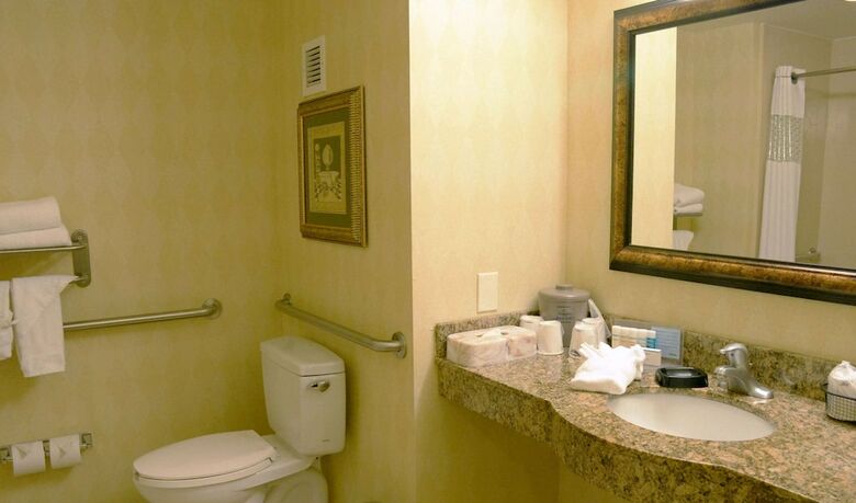 Hotel Hampton Suites Birmingham Hoover
