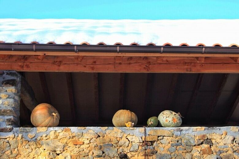Agroturismo Casa Rural Areano