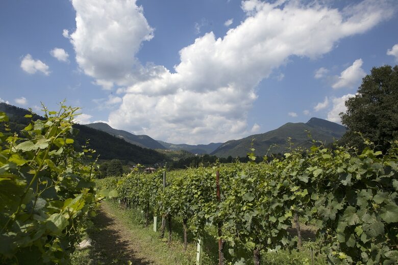 Agroturismo Podere Castel Merlo