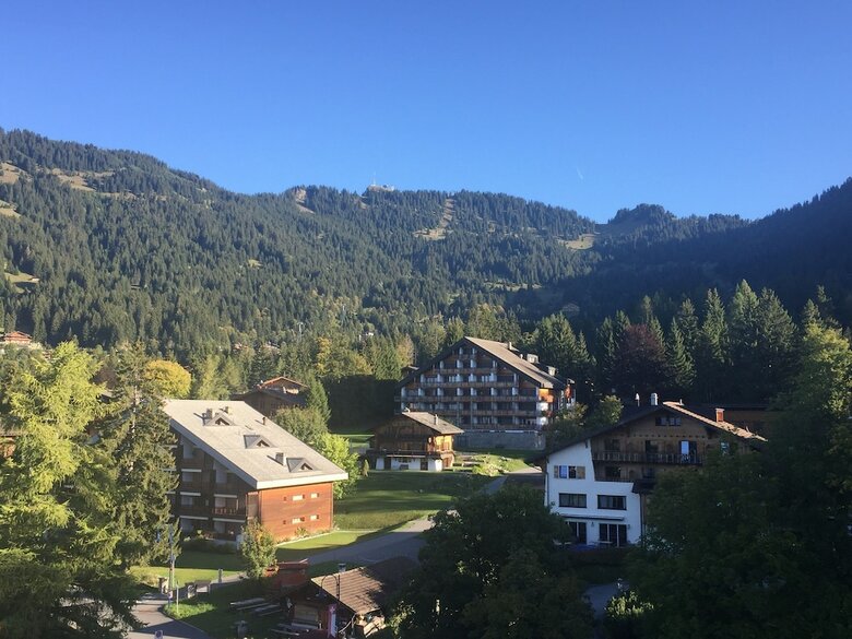 Hotel Eurotel Victoria Villars