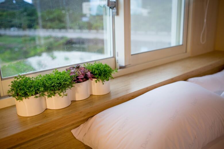 Hotel Water Bird Villa