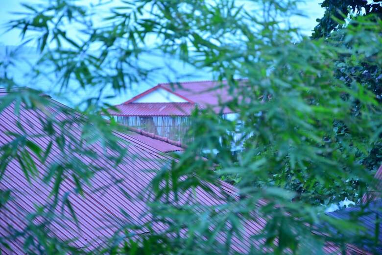 Hotel Tranquility Bungalows Bar & Restaurant