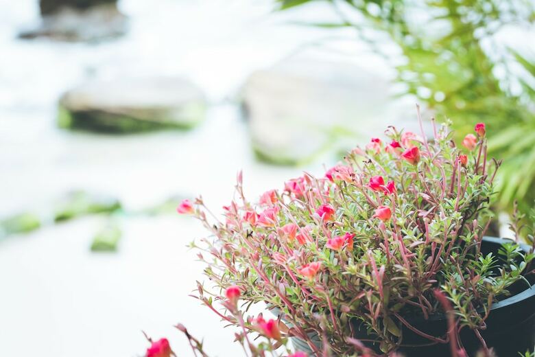 Hotel Tranquility Bungalows Bar & Restaurant