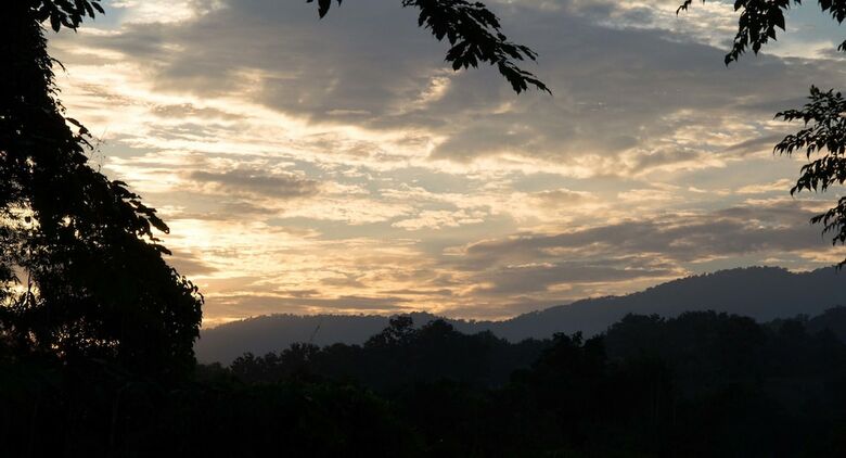Hotel Bambuh Boutique Homestay