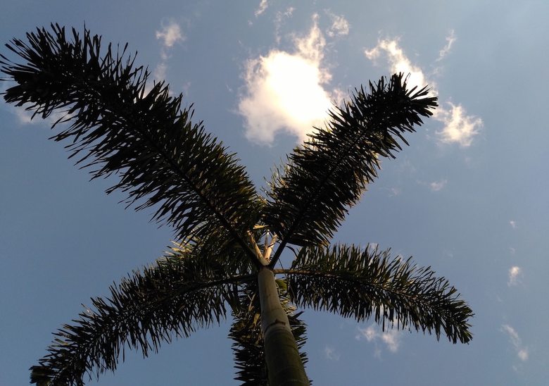 Hotel Bambuh Boutique Homestay