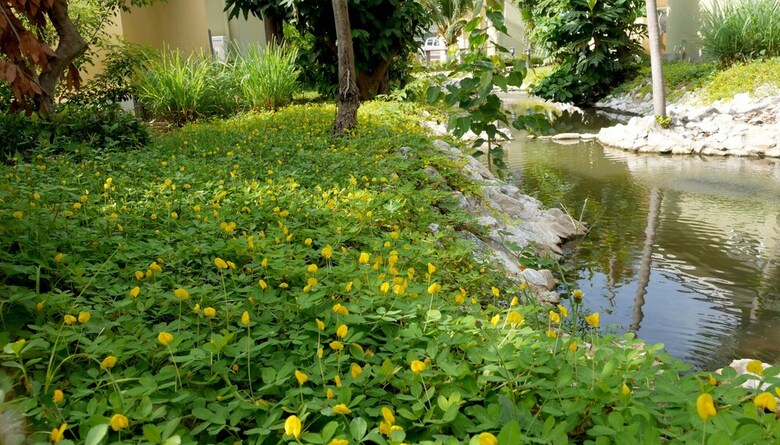 Hotel Wangpla Villa Resort