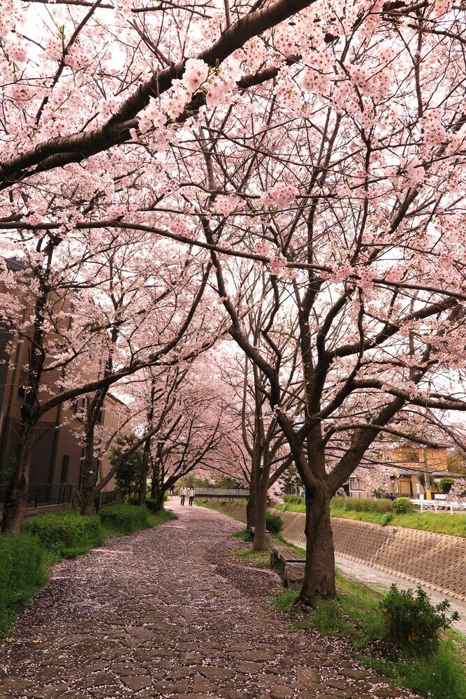 Hotel Wanokura