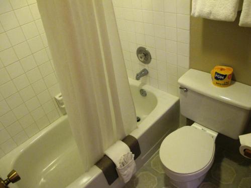 Motel Lakeshore Inn & Suites