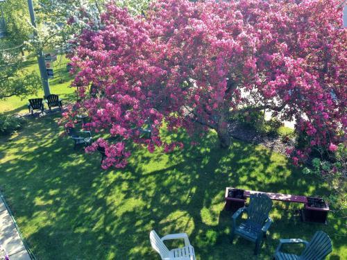 Motel Lakeshore Inn & Suites