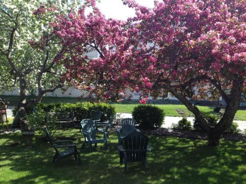 Motel Lakeshore Inn & Suites