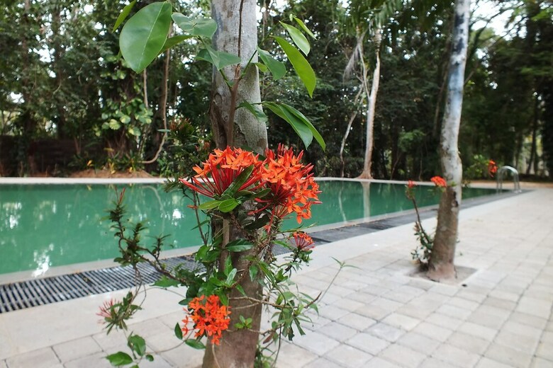 Hotel Diklande Estate Bungalow