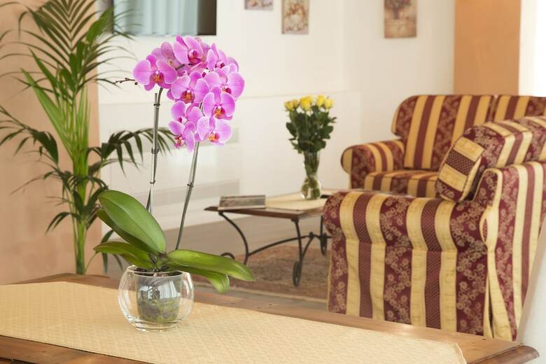 Agroturismo Agriturismo Ae Cavane