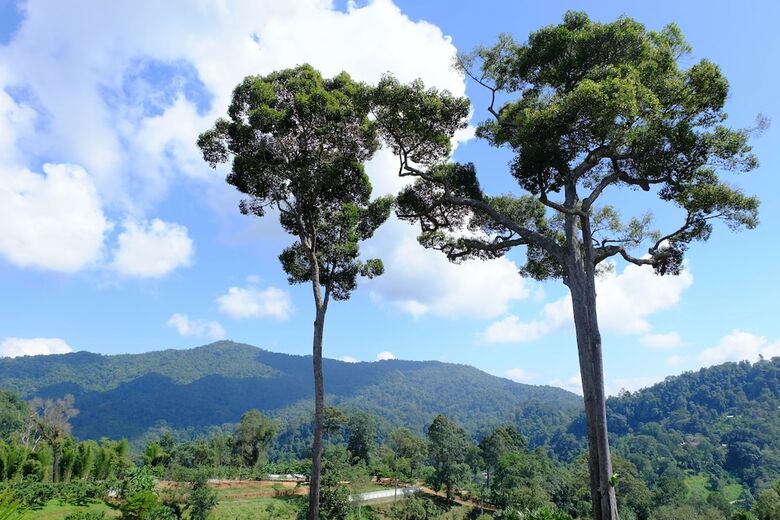 Hotel Mok Far Mont Ngo Resort