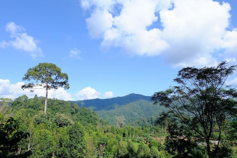 Hotel Mok Far Mont Ngo Resort