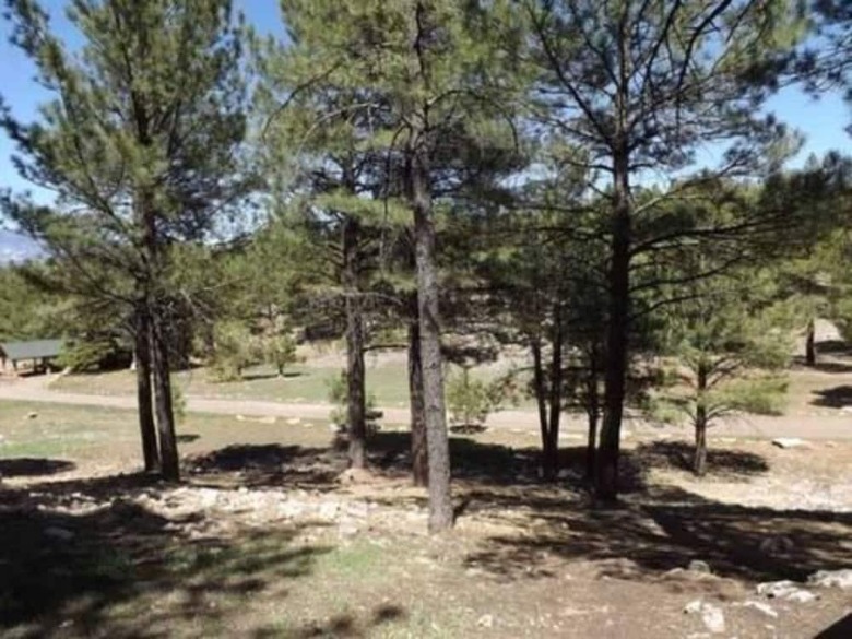 Arizona Mountain Inn And Cabins