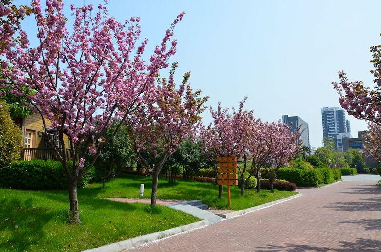 Apartamento Phoenix Hotspring Resort