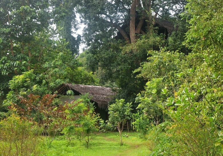 Cabana Back Of Beyond - Dehigaha Ela