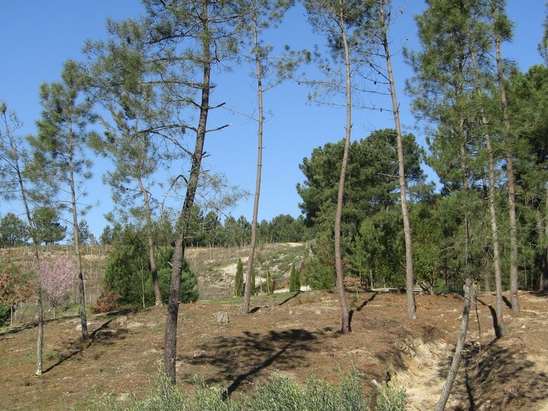 Quinta Do Medronheiro Hotel Rural