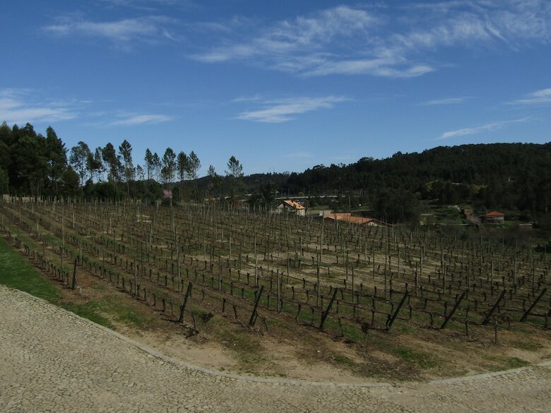 Quinta Do Medronheiro Hotel Rural