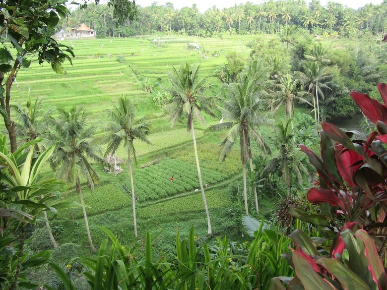 Hotel Permata Ayung Private Estate