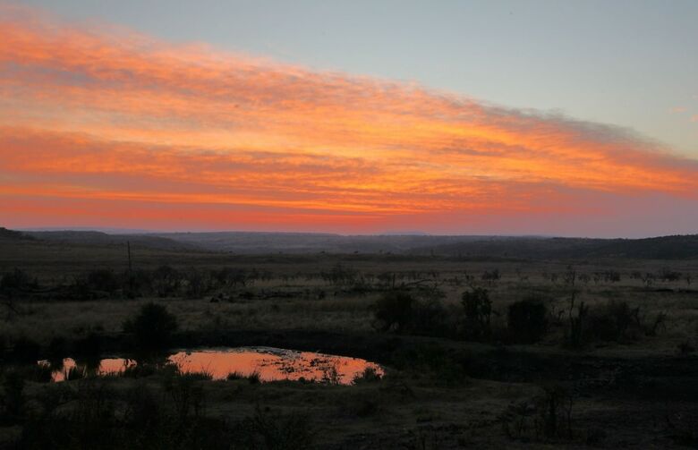Posada Nambiti Plains Private Game Lodge