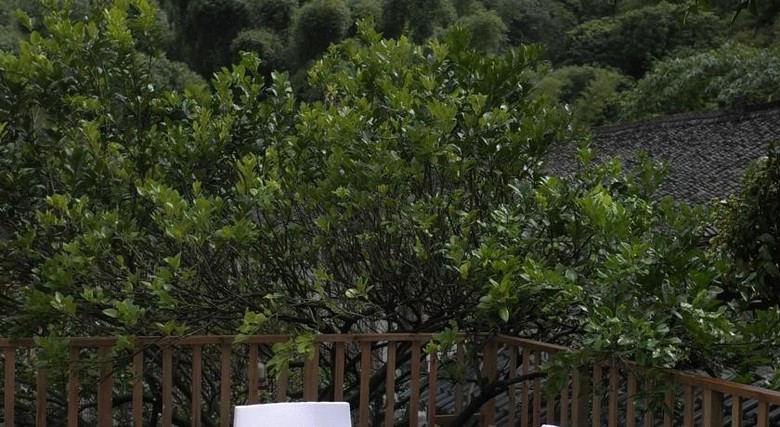 Albergue Zen Box House