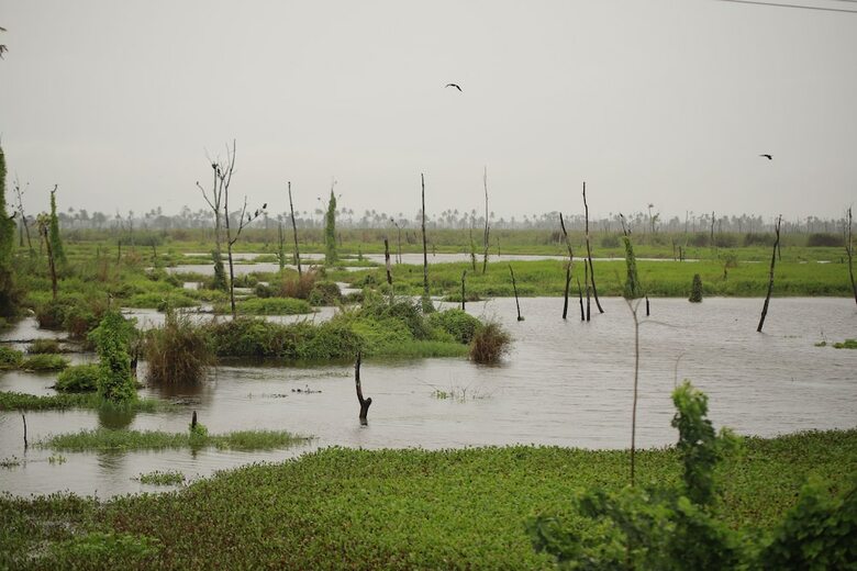 Sreekrishna Houseboats