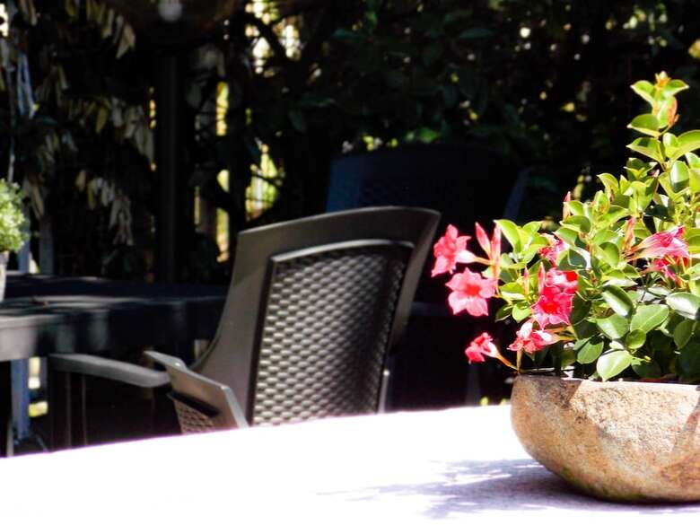 Hotel Alpino