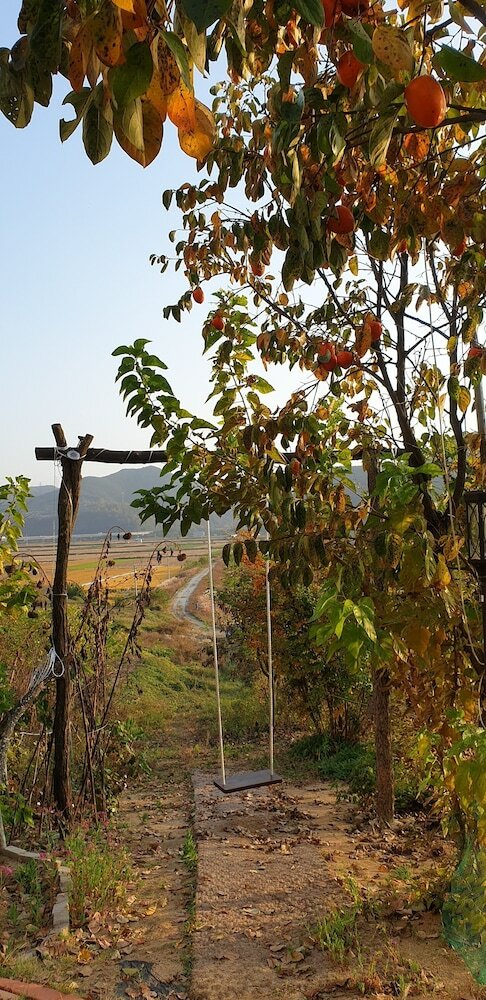 Andong River Sunset Pension