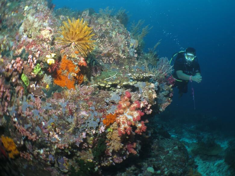 Hotel Hamueco Dive Resort Raja Ampat