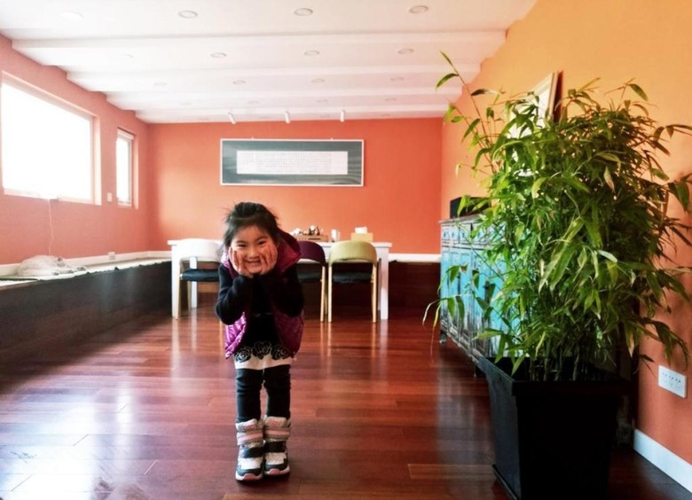 Albergue The Great Wall Box House (beijing)