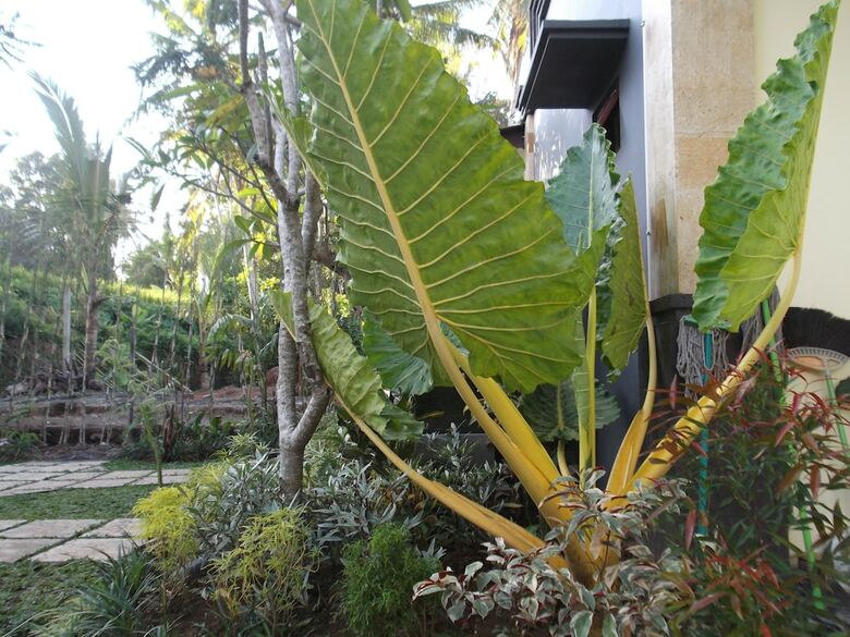 Hotel Doni House & Villa