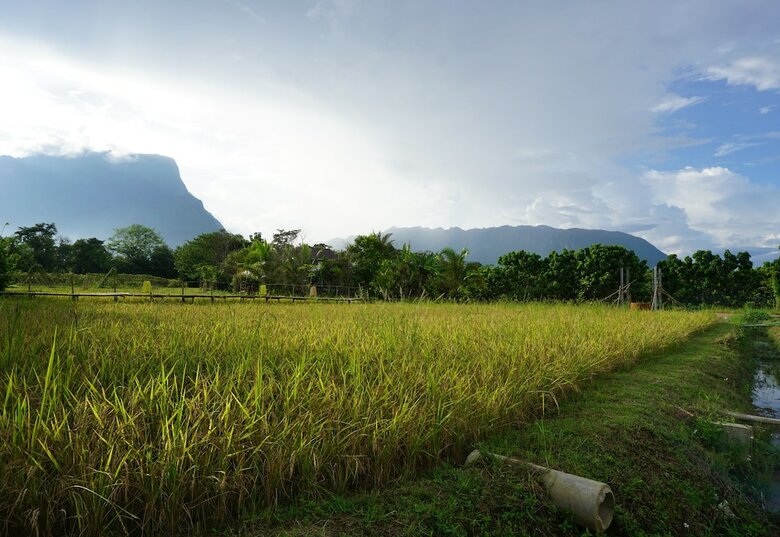 Hotel Ban Suan Tawan Chiang Dao
