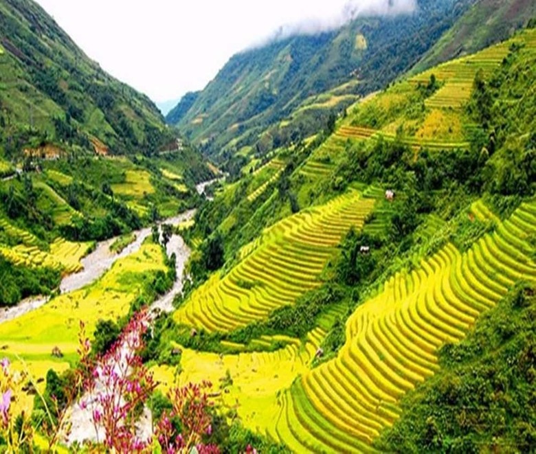 Hotel Sapa Mountain Queen House