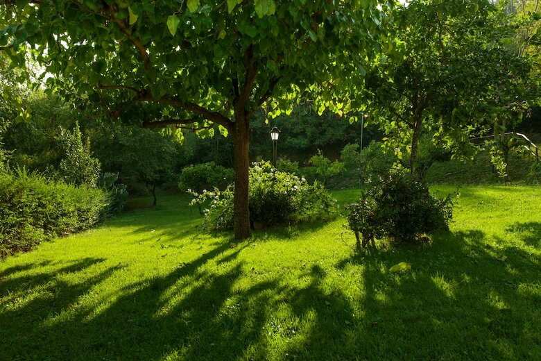 Agroturismo Agriturismo La Vecchia Quercia