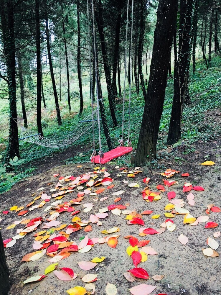 Hotel Agva Orman Evleri (Forest Lodge)