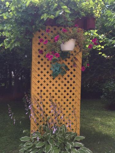 Bed & Breakfast Chez Lulu Et Lutin