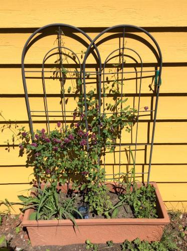 Bed & Breakfast Chez Lulu Et Lutin