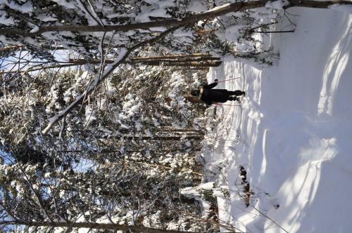 Posada La Tani�re De L'ours