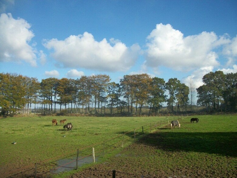 Agroturismo Le Manoir de Briquedalles