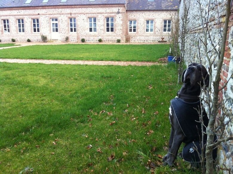 Agroturismo Le Manoir de Briquedalles