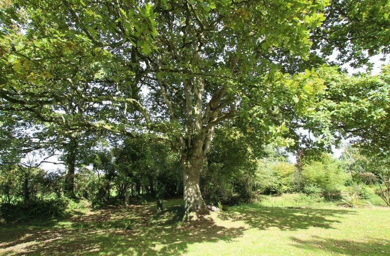Les G�tes Du Manoir de Savigny