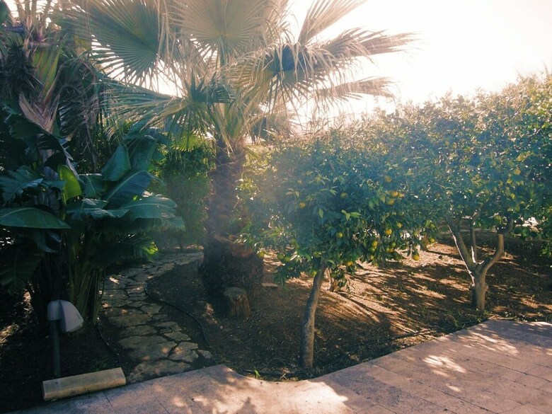 Buena Vista