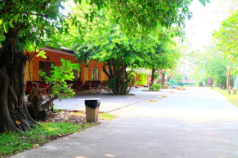 Hotel Big Tree Resort